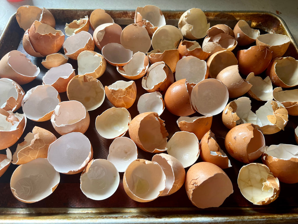 Ways to use Eggshells