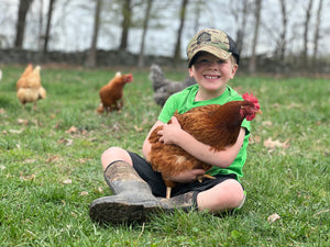 Why do we raise our laying hens on pasture?  Let me explain...