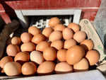 Ready-To-Lay Pullets (deposit)