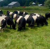 Pasture Pure Tallow Butter - 4 oz